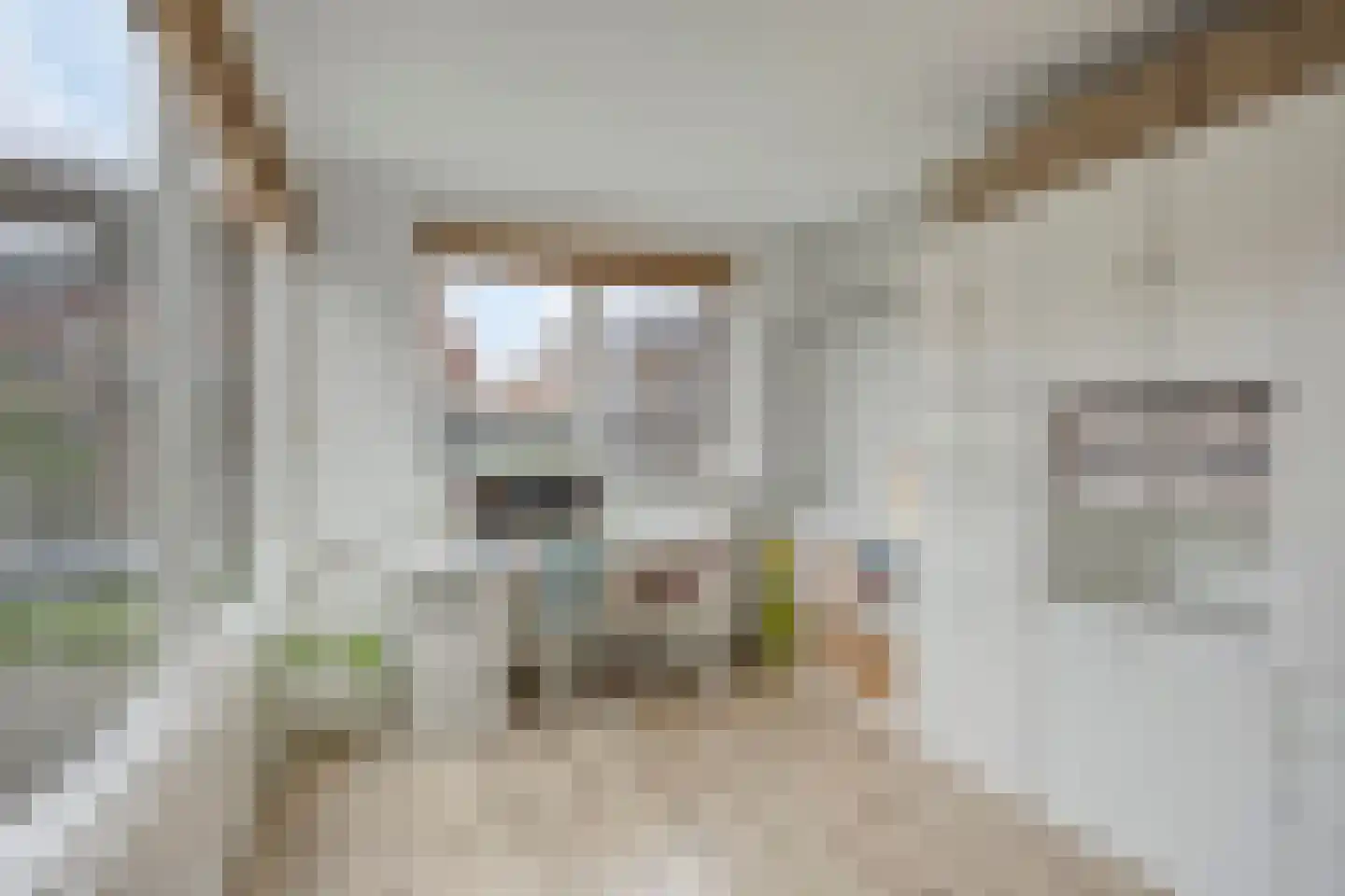 Zigt 10 Warmenhuizen thumbnail 5