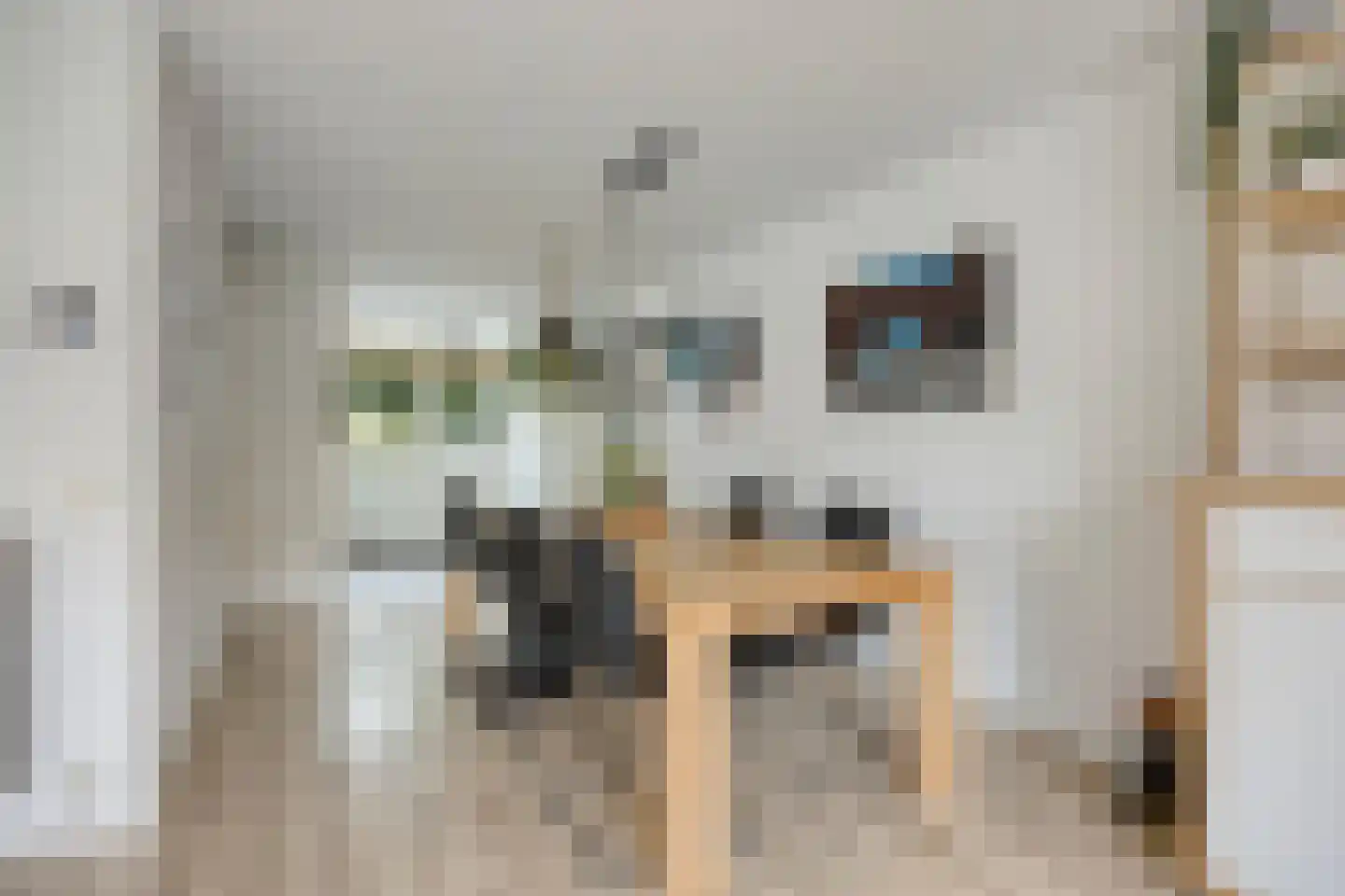 Zigt 10 Warmenhuizen thumbnail 8