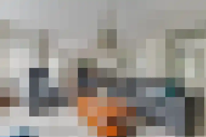 Zigt 41 Warmenhuizen thumbnail 11