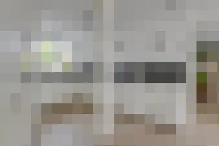 Zigt 41 Warmenhuizen thumbnail 14