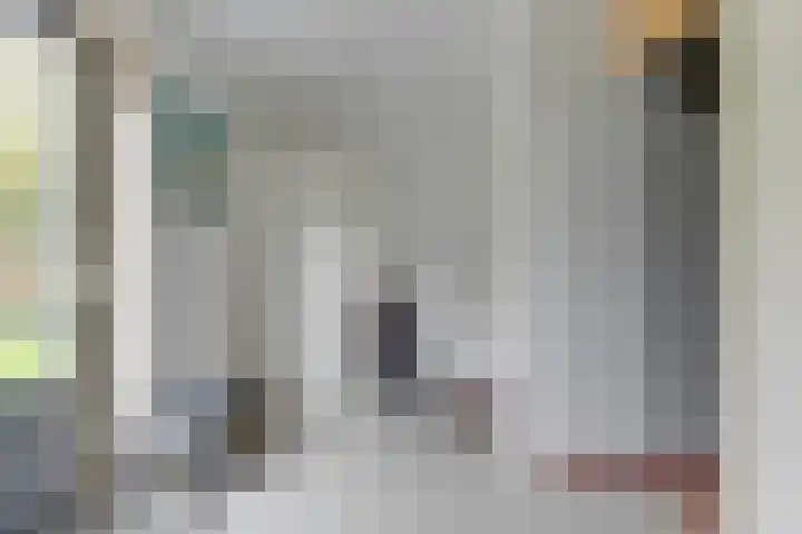 Zigt 41 Warmenhuizen thumbnail 20