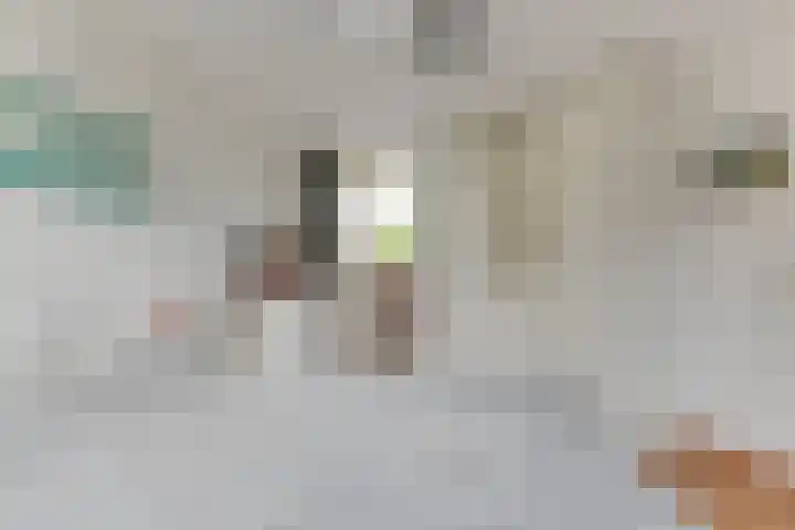 Zigt 41 Warmenhuizen thumbnail 23