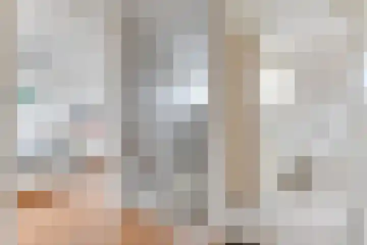 Zigt 41 Warmenhuizen thumbnail 32