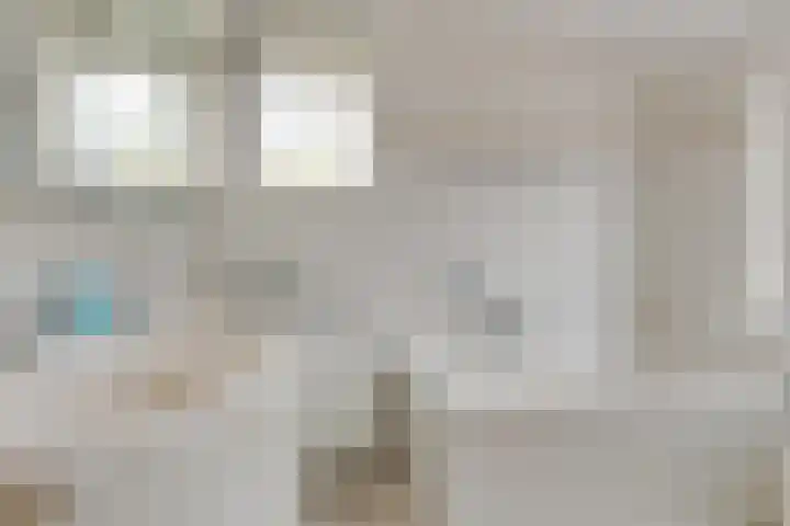 Zigt 41 Warmenhuizen thumbnail 33