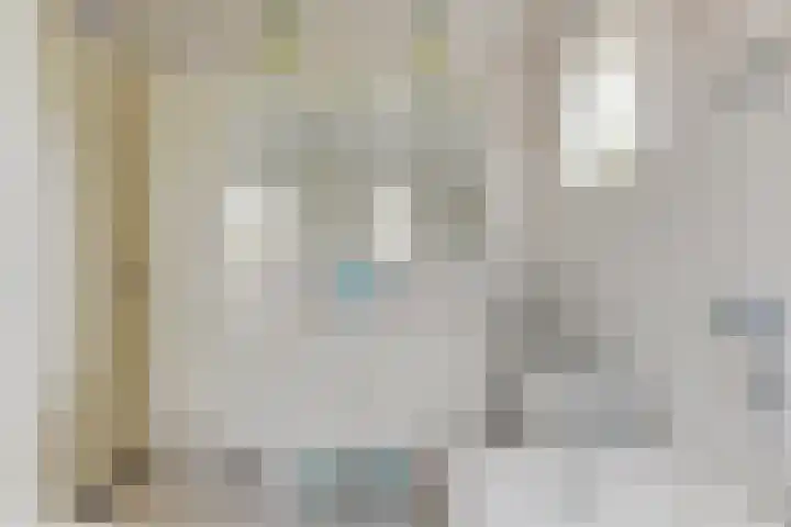 Zigt 41 Warmenhuizen thumbnail 34