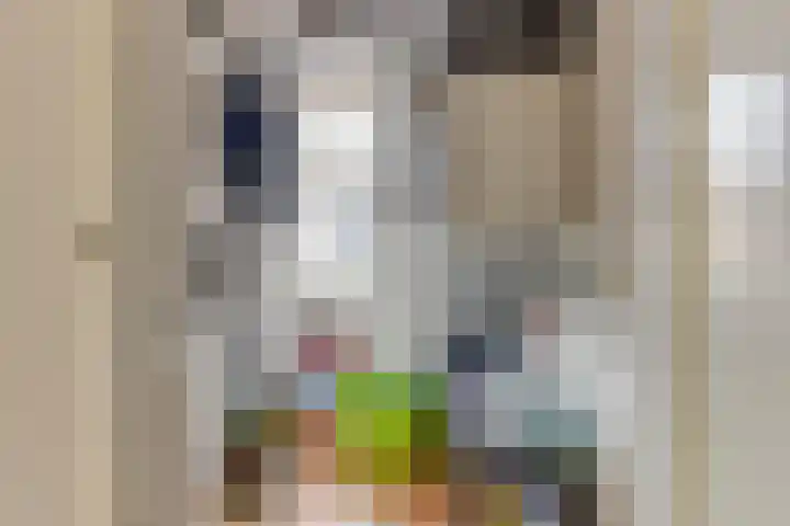 Zigt 41 Warmenhuizen thumbnail 35