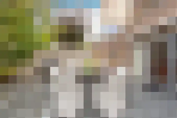 Zigt 41 Warmenhuizen thumbnail 39