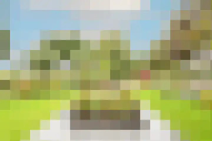 Zigt 41 Warmenhuizen thumbnail 40