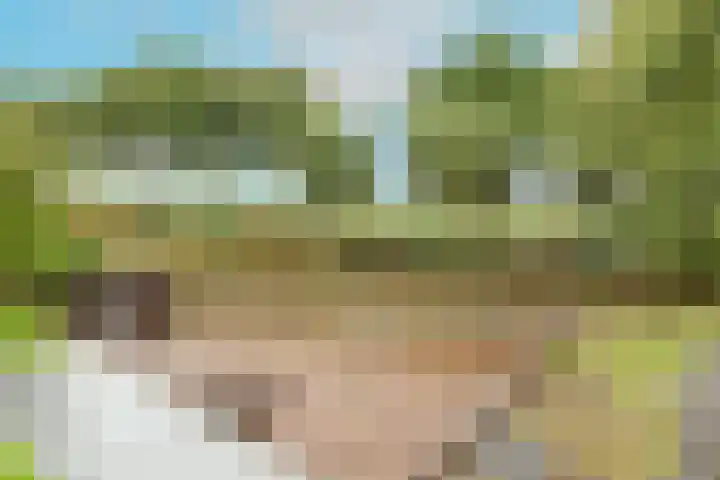 Zigt 41 Warmenhuizen thumbnail 41