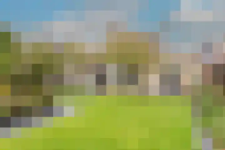 Zigt 41 Warmenhuizen thumbnail 43