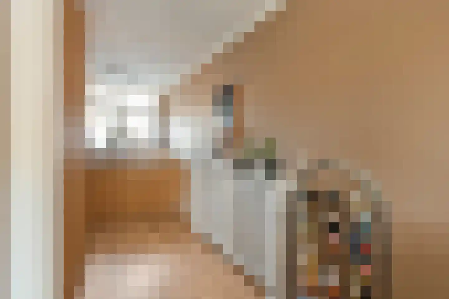 Zigt 43 Warmenhuizen thumbnail 28