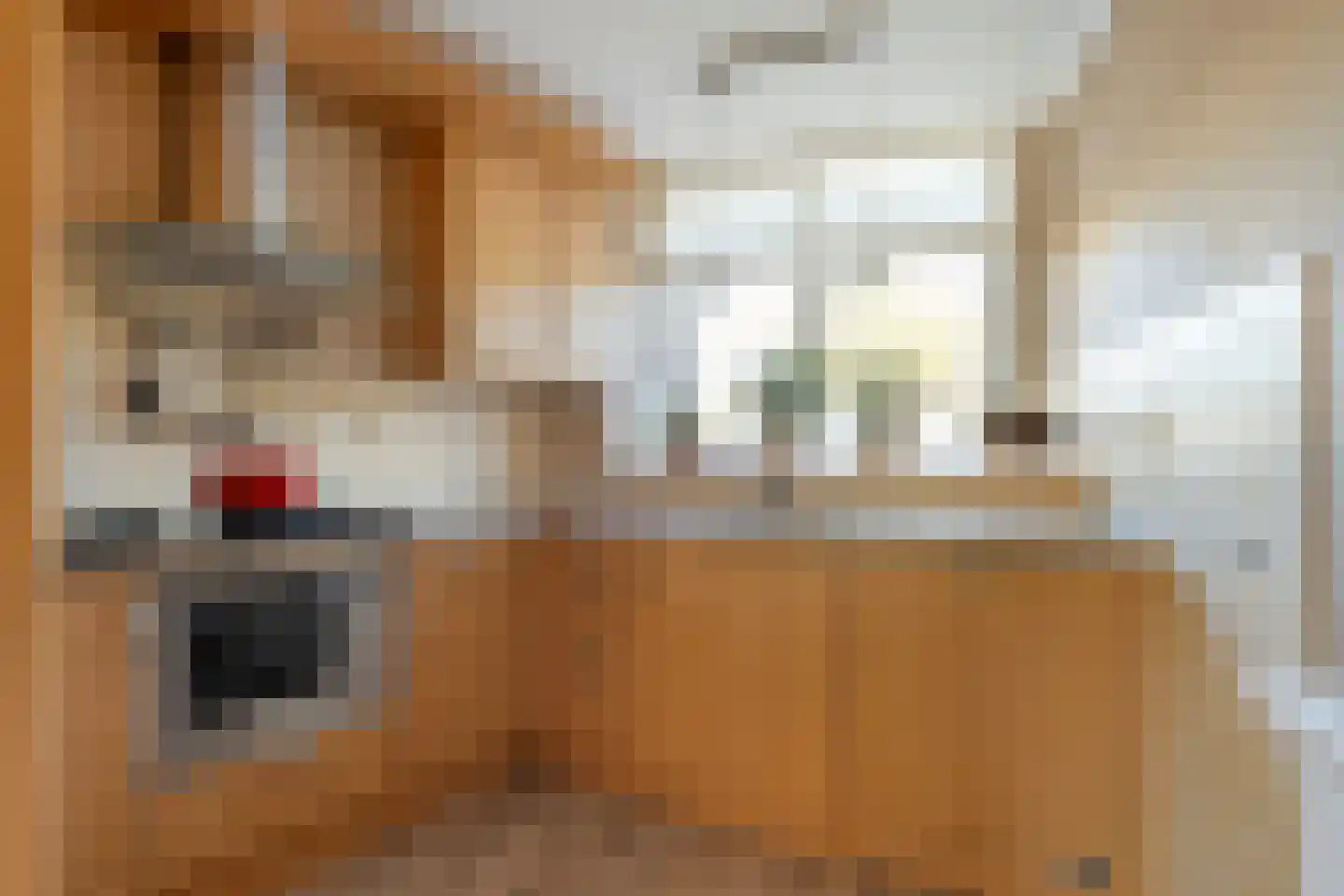 Zigt 43 Warmenhuizen thumbnail 29