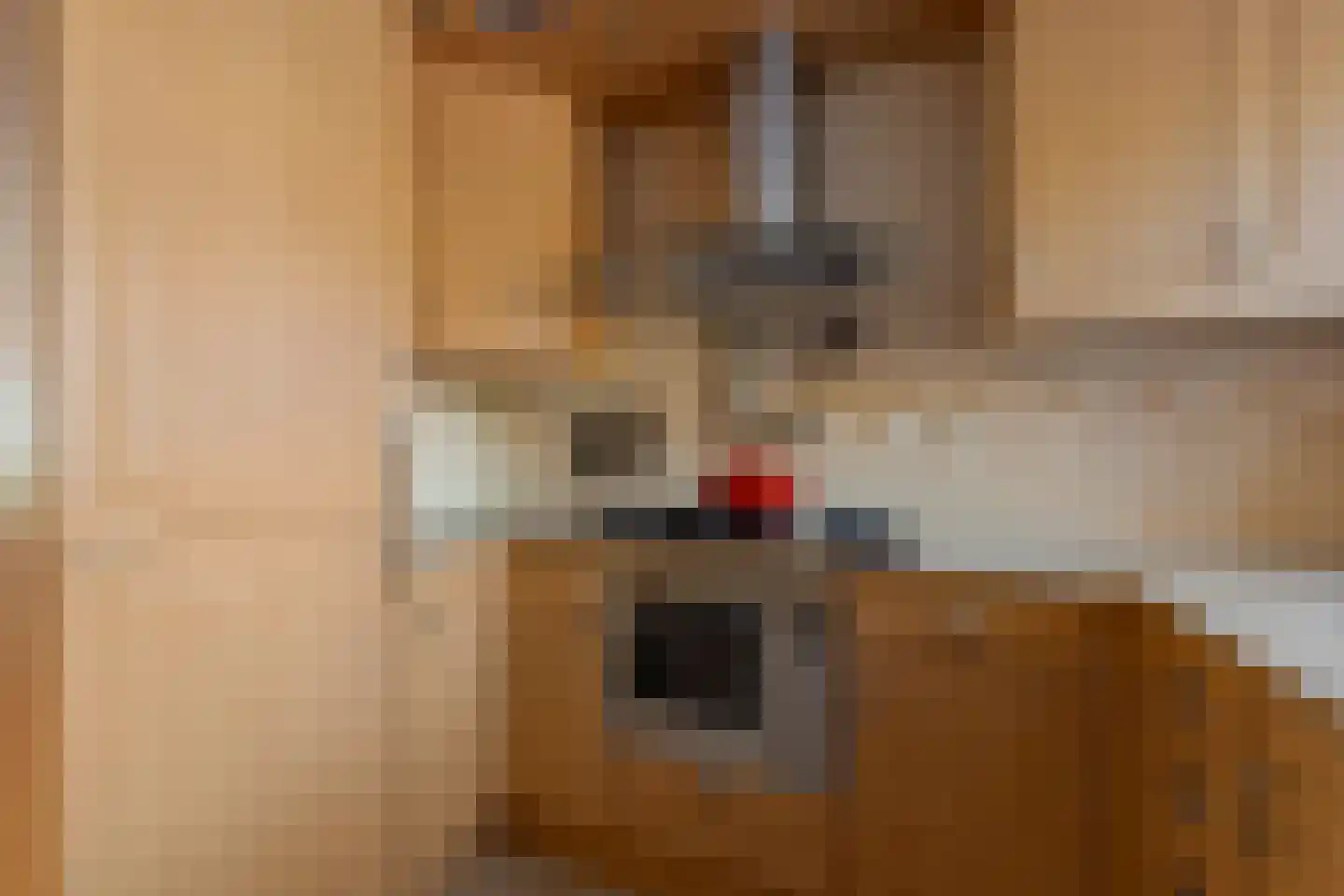 Zigt 43 Warmenhuizen thumbnail 30