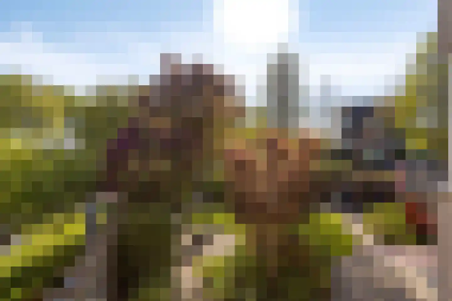 Zigt 43 Warmenhuizen thumbnail 4