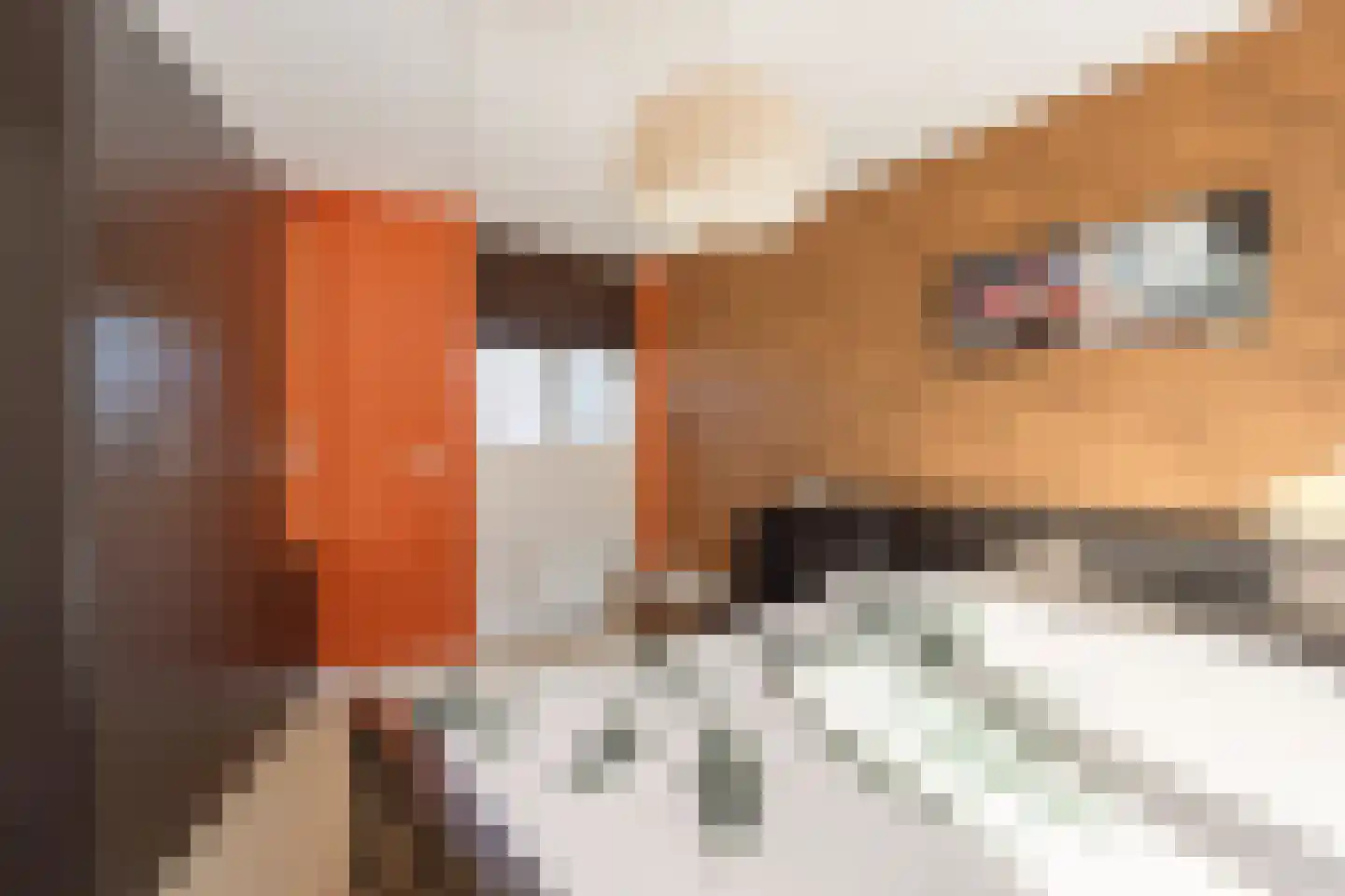 Zigt 43 Warmenhuizen thumbnail 43
