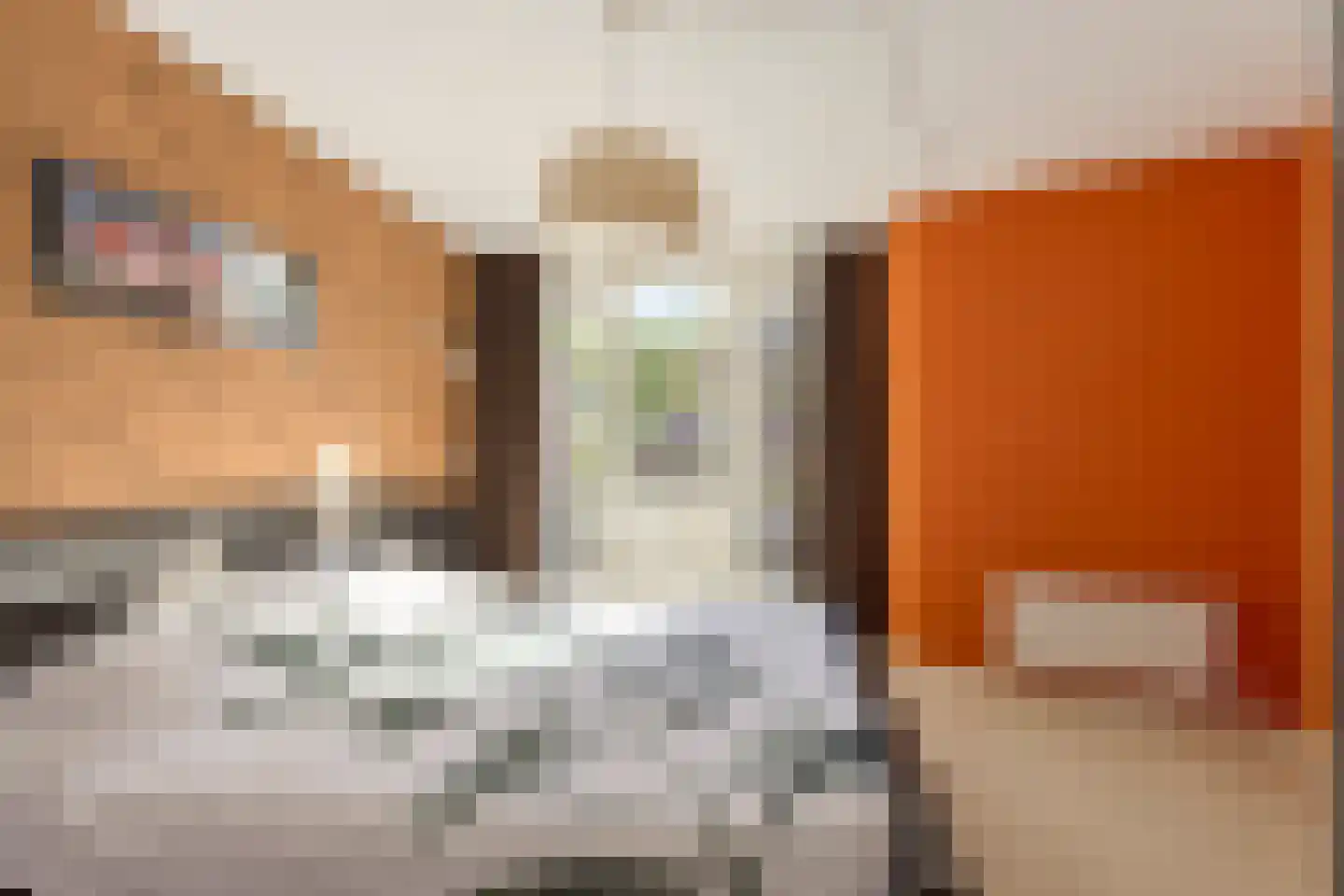 Zigt 43 Warmenhuizen thumbnail 44