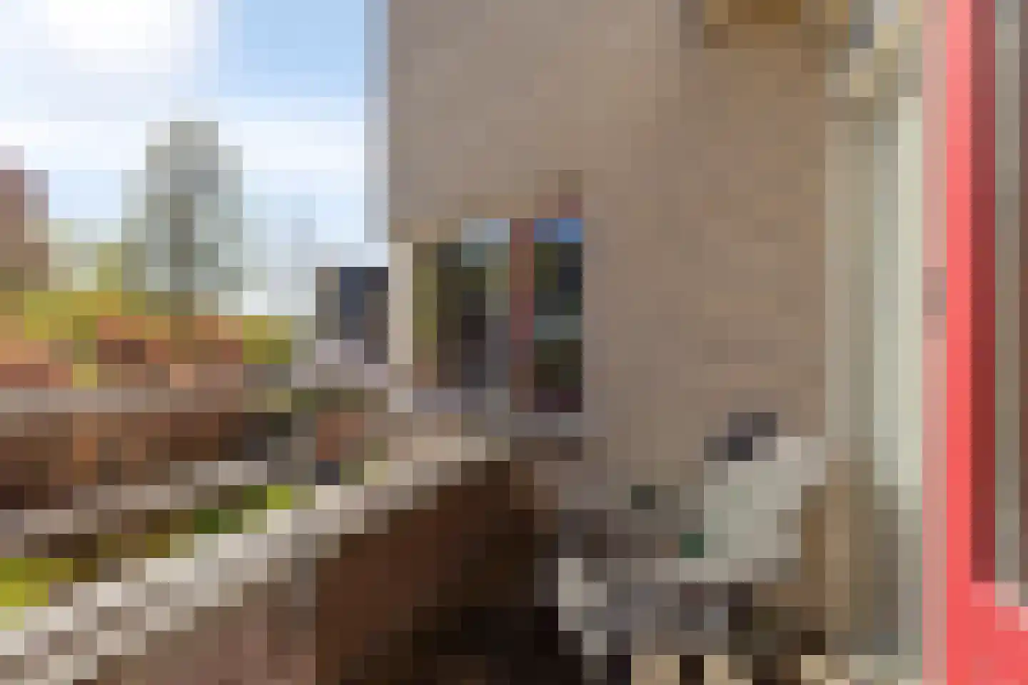Zigt 43 Warmenhuizen thumbnail 45