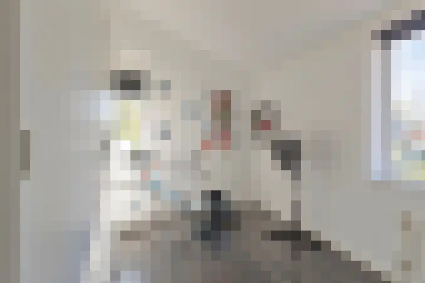 Zigt 43 Warmenhuizen thumbnail 54