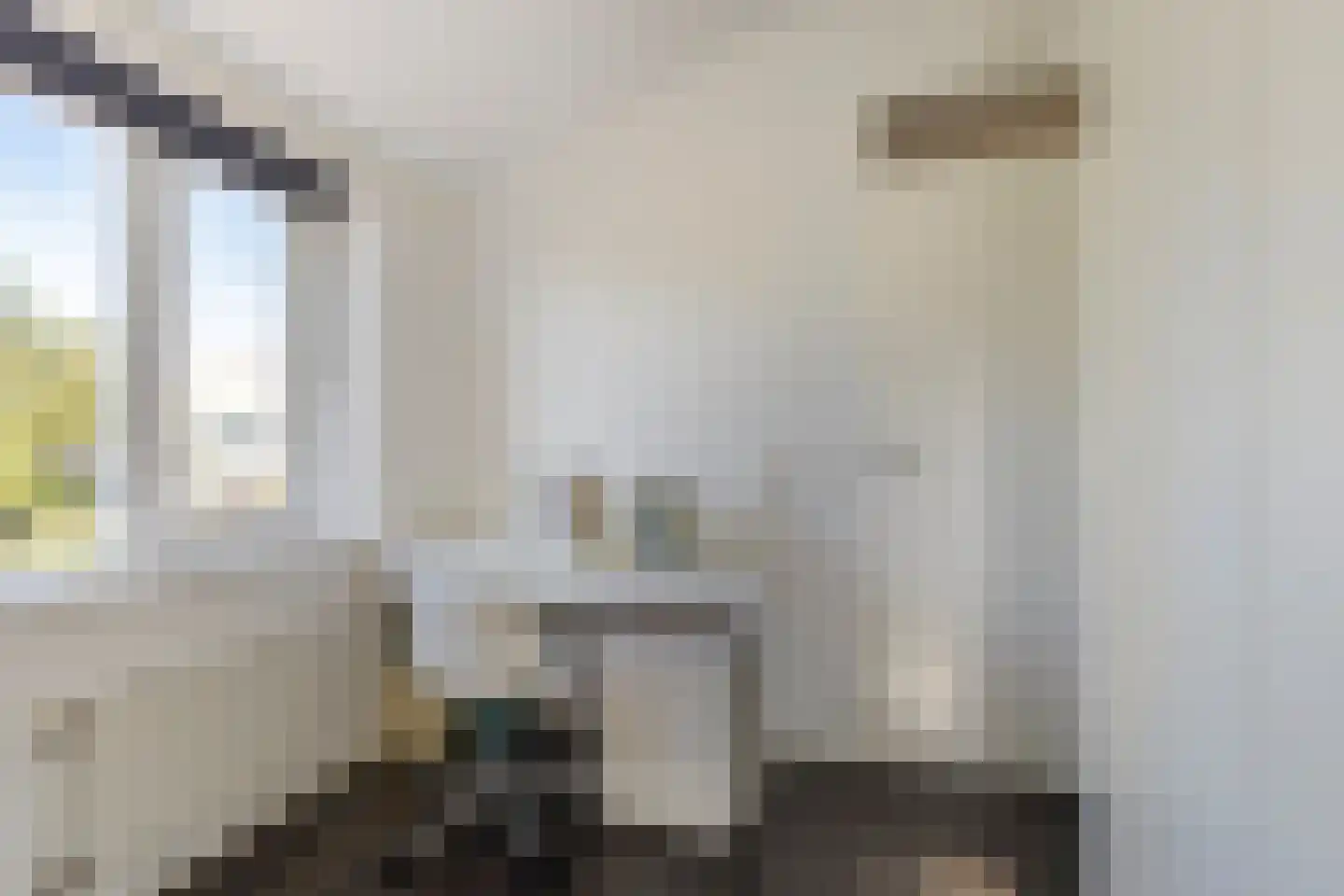 Zigt 43 Warmenhuizen thumbnail 55