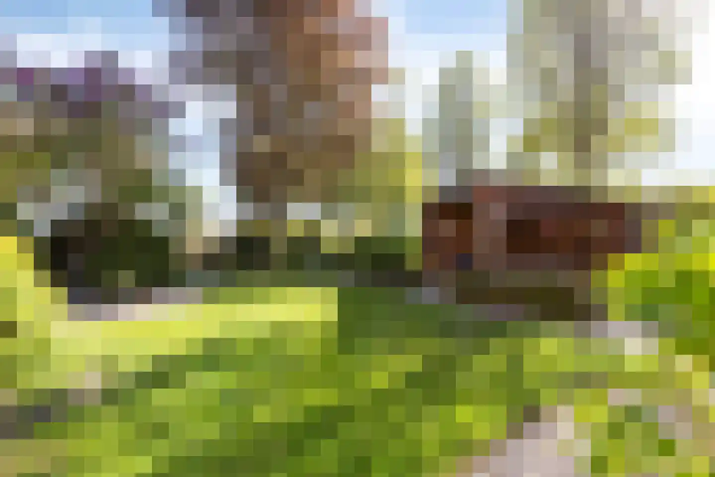 Zigt 43 Warmenhuizen thumbnail 58