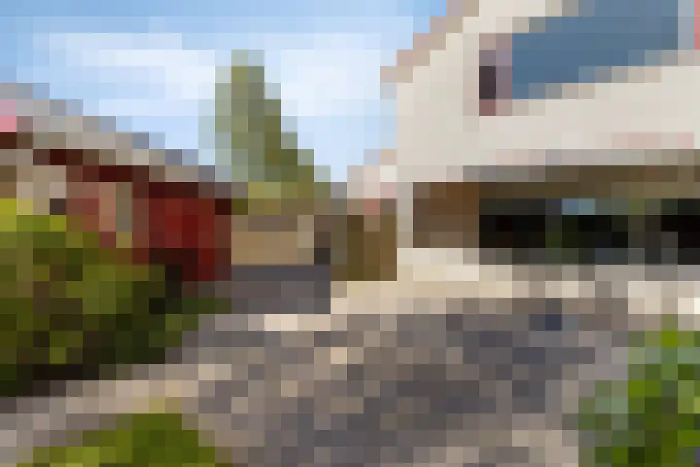 Zigt 43 Warmenhuizen thumbnail 60