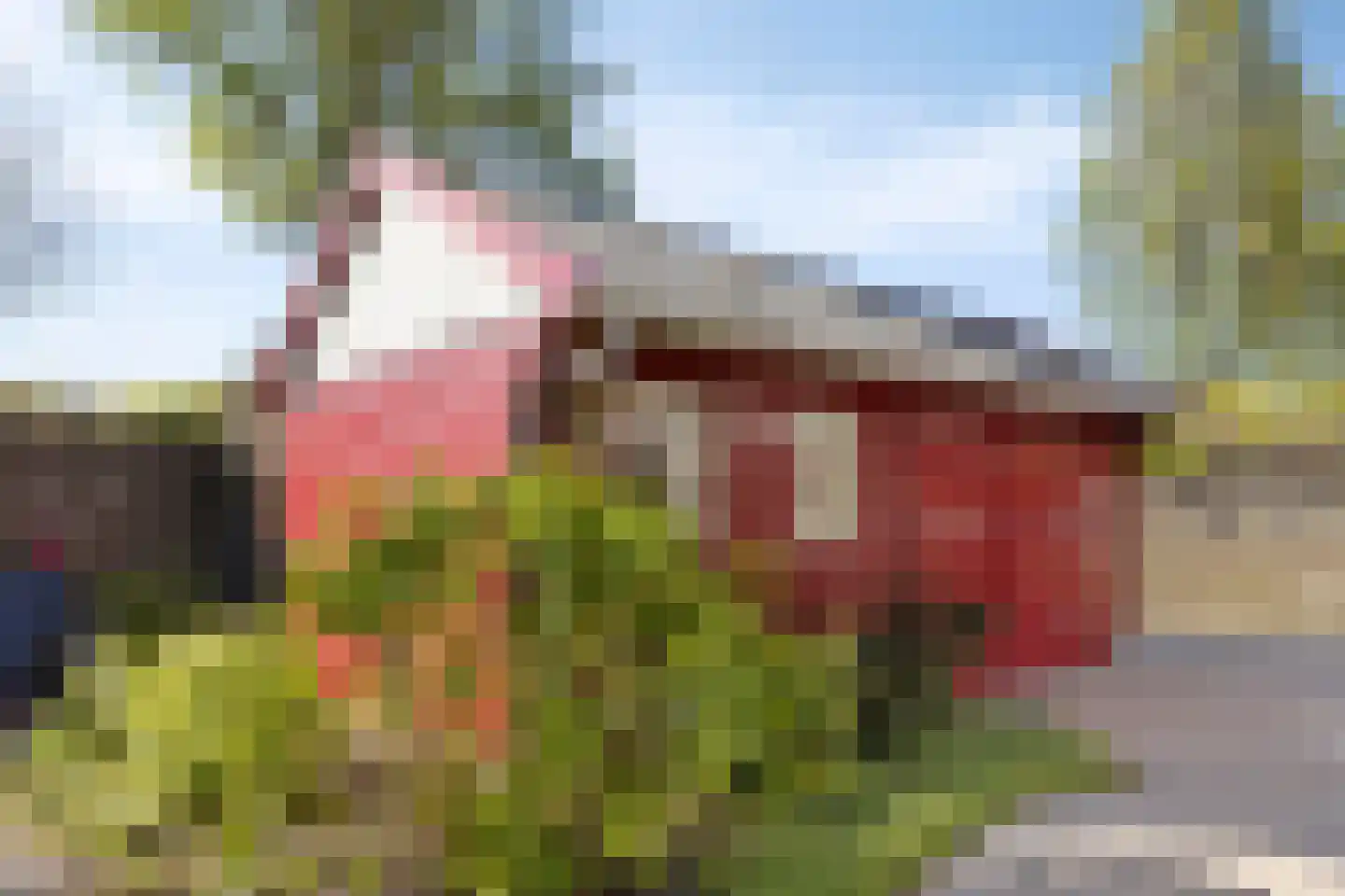 Zigt 43 Warmenhuizen thumbnail 61