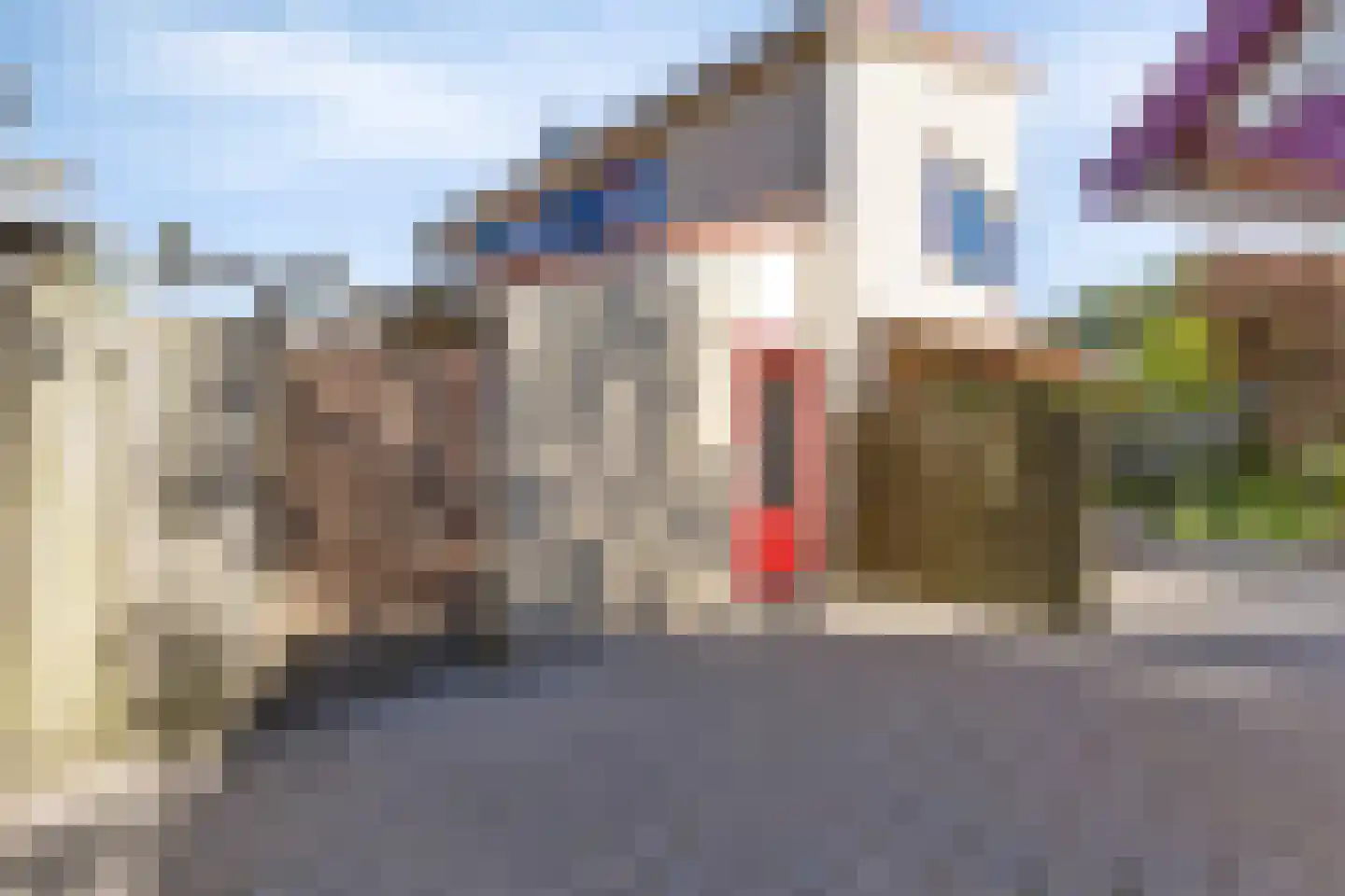 Zigt 43 Warmenhuizen thumbnail 65