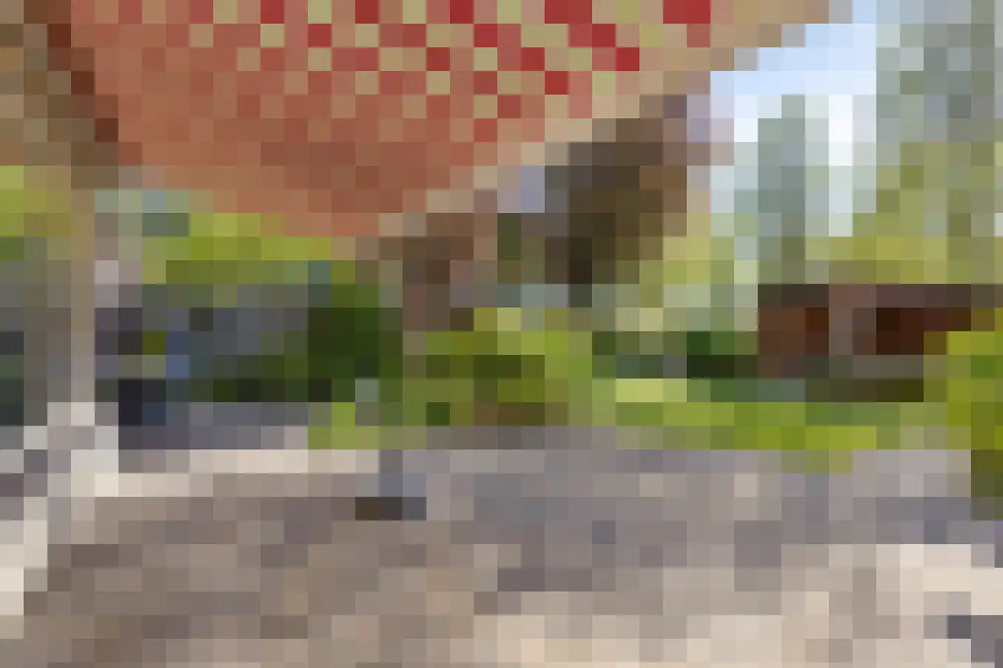 Zigt 43 Warmenhuizen thumbnail 66