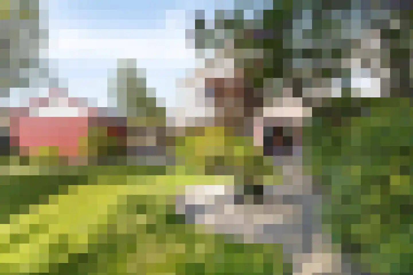 Zigt 43 Warmenhuizen thumbnail 70