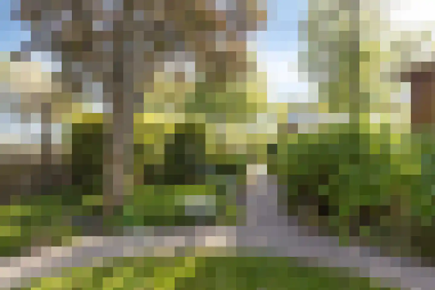 Zigt 43 Warmenhuizen thumbnail 72