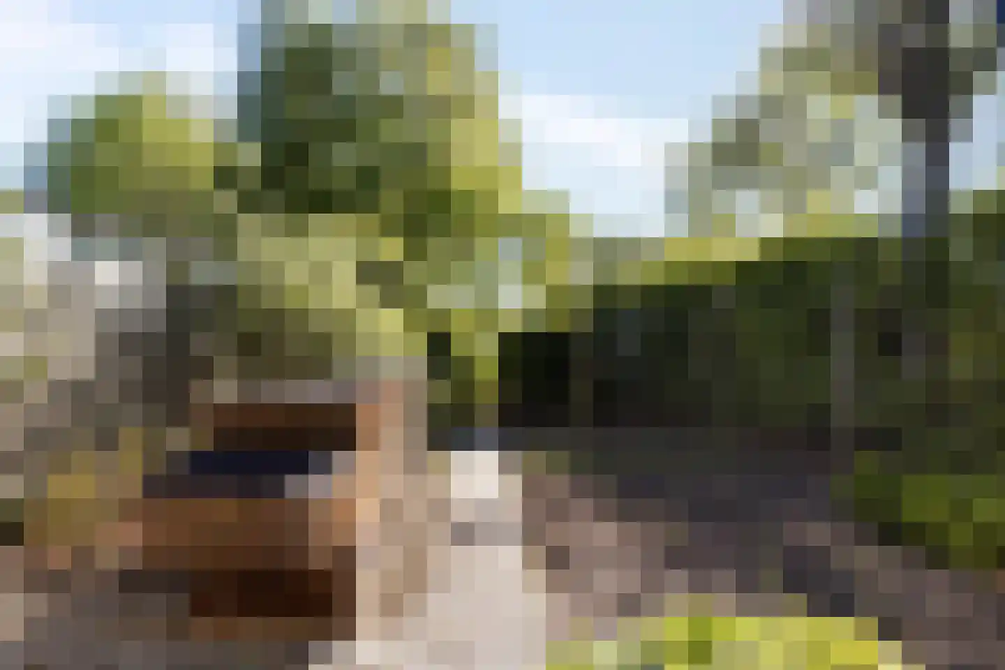 Zigt 43 Warmenhuizen thumbnail 73