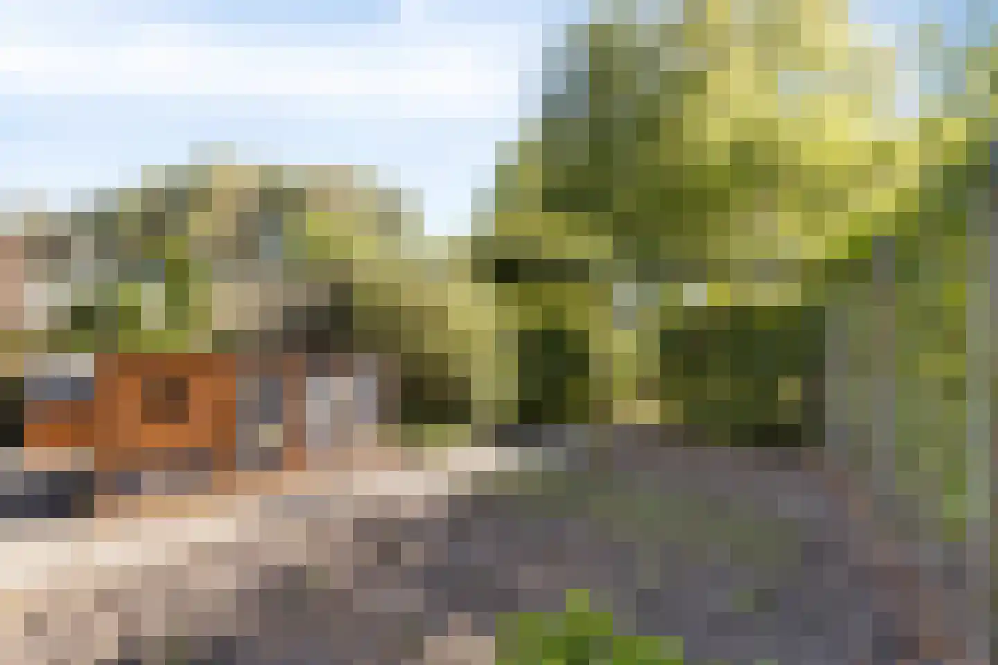 Zigt 43 Warmenhuizen thumbnail 75