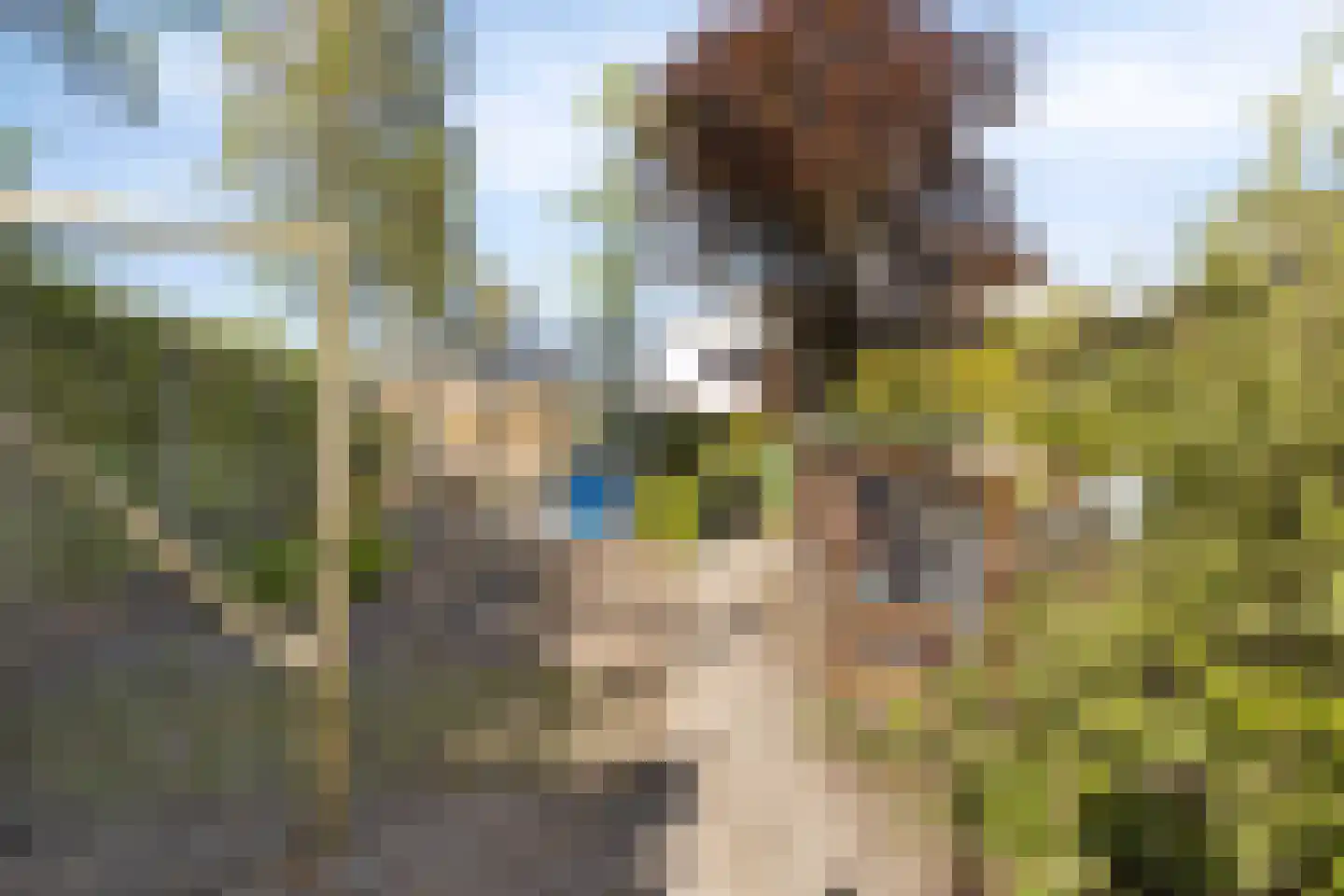 Zigt 43 Warmenhuizen thumbnail 76
