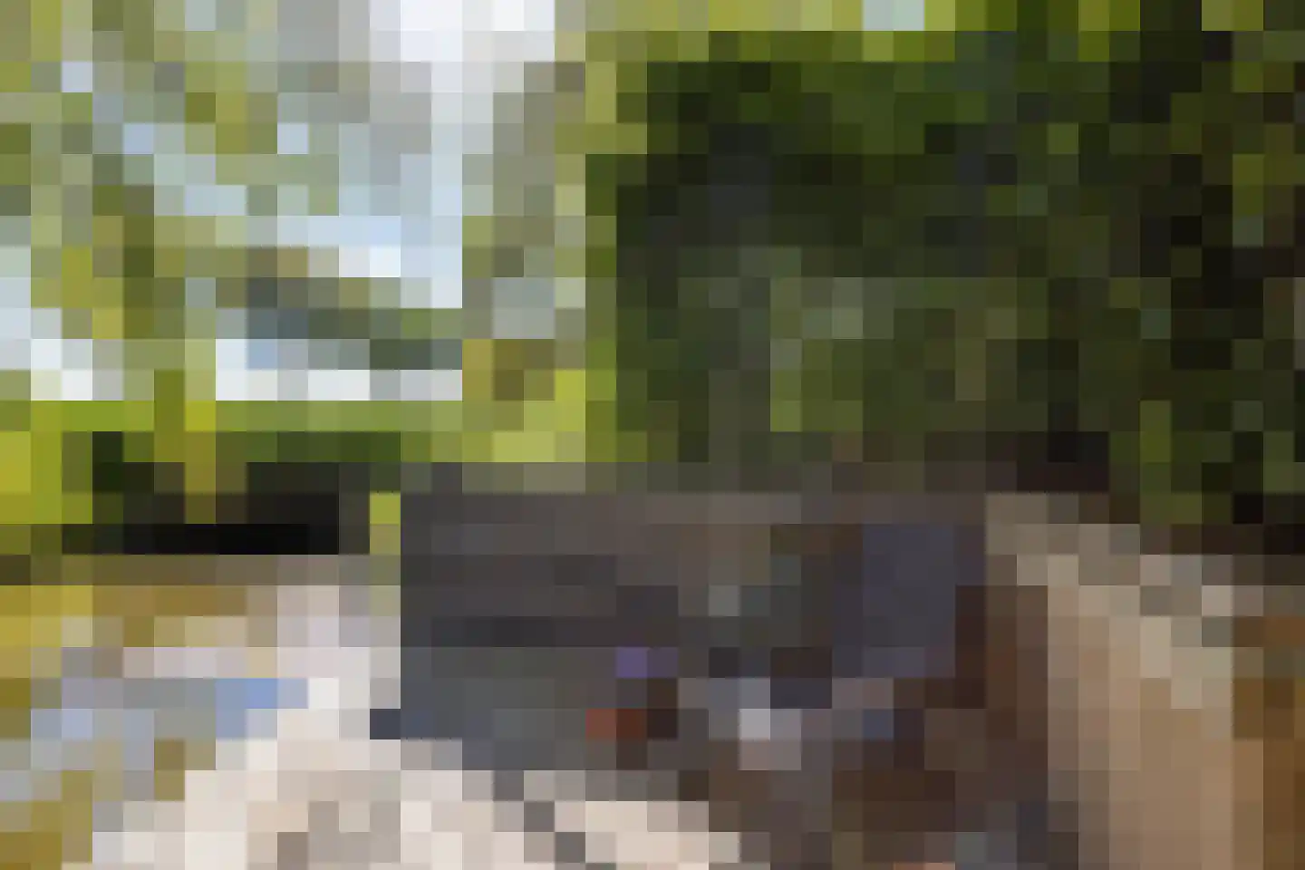 Zigt 43 Warmenhuizen thumbnail 78