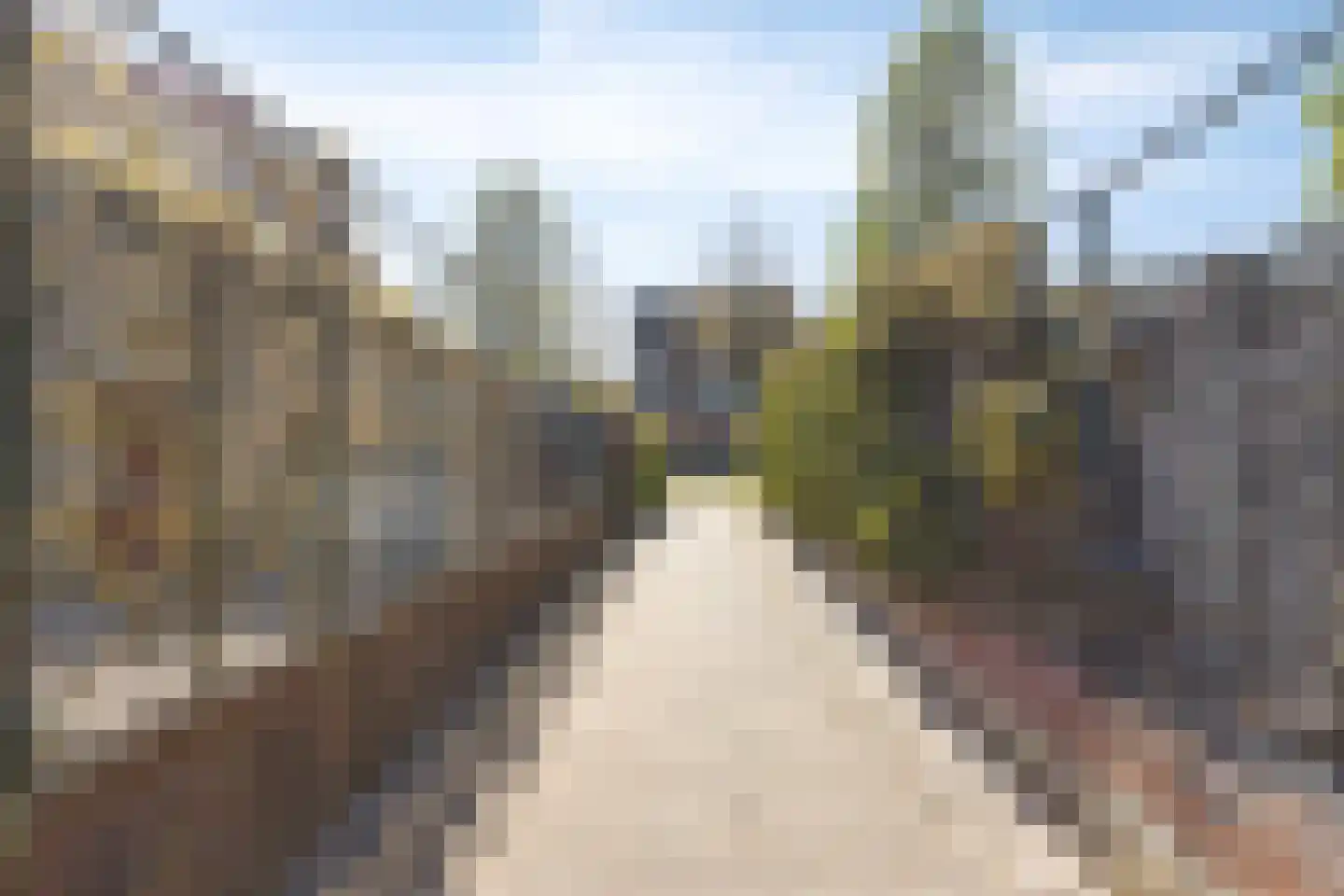 Zigt 43 Warmenhuizen thumbnail 83