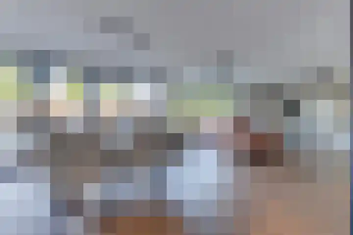 Zigt 55 Warmenhuizen thumbnail 10