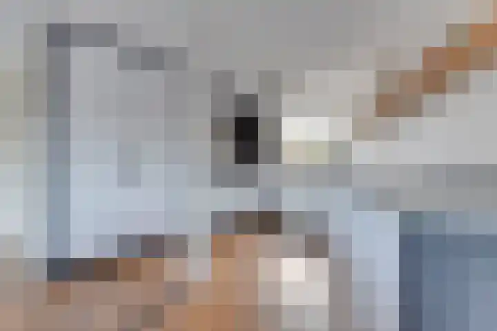 Zigt 55 Warmenhuizen thumbnail 15