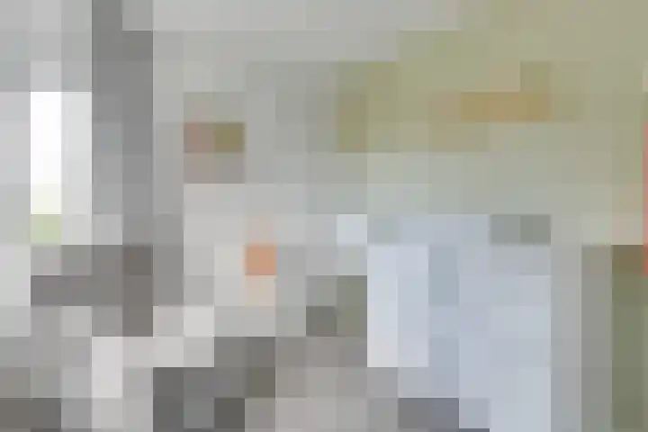 Zigt 55 Warmenhuizen thumbnail 22