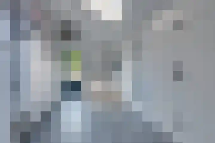Zigt 55 Warmenhuizen thumbnail 29