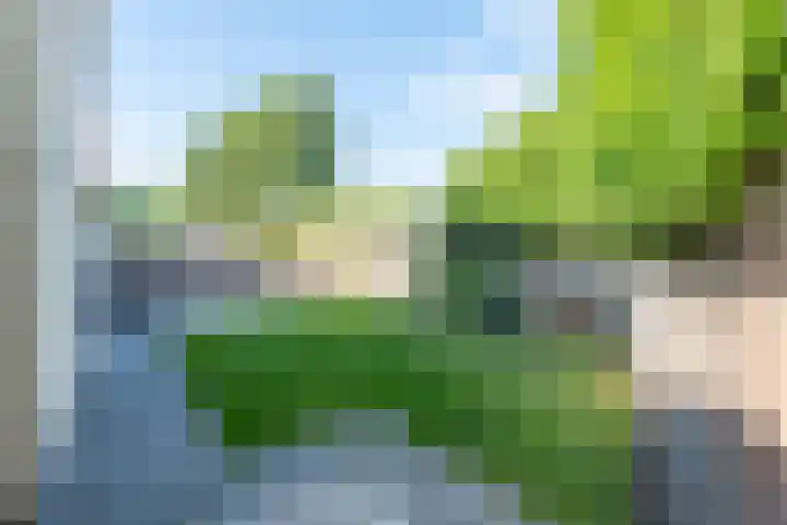 Zigt 55 Warmenhuizen thumbnail 31