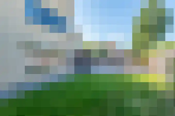 Zigt 55 Warmenhuizen thumbnail 32