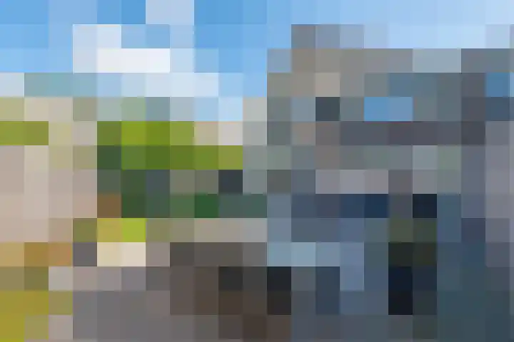 Zigt 55 Warmenhuizen thumbnail 34
