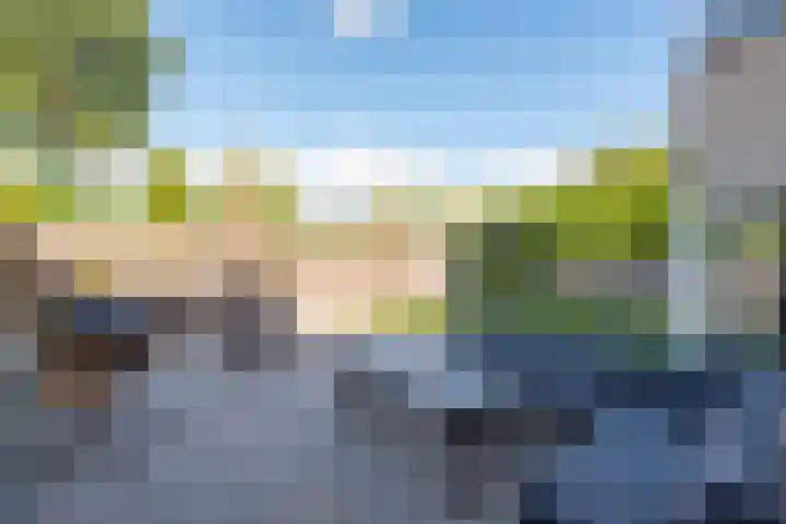 Zigt 55 Warmenhuizen thumbnail 35