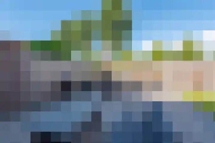 Zigt 55 Warmenhuizen thumbnail 36