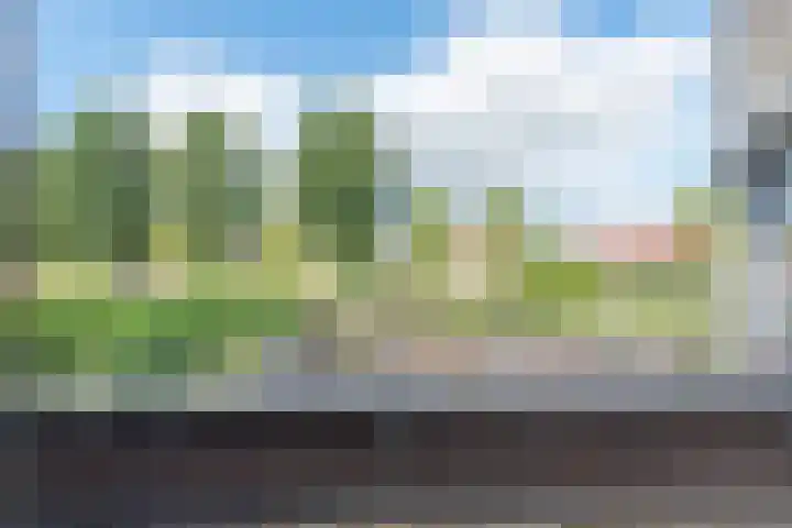 Zigt 55 Warmenhuizen thumbnail 38
