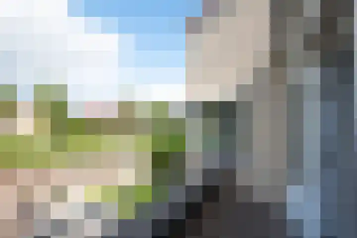 Zigt 55 Warmenhuizen thumbnail 39