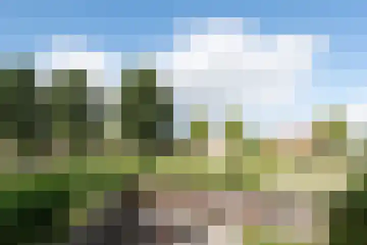Zigt 55 Warmenhuizen thumbnail 40