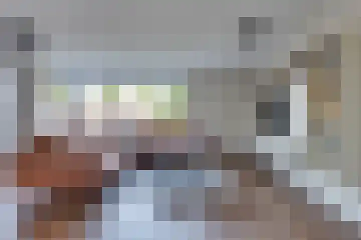 Zigt 55 Warmenhuizen thumbnail 8