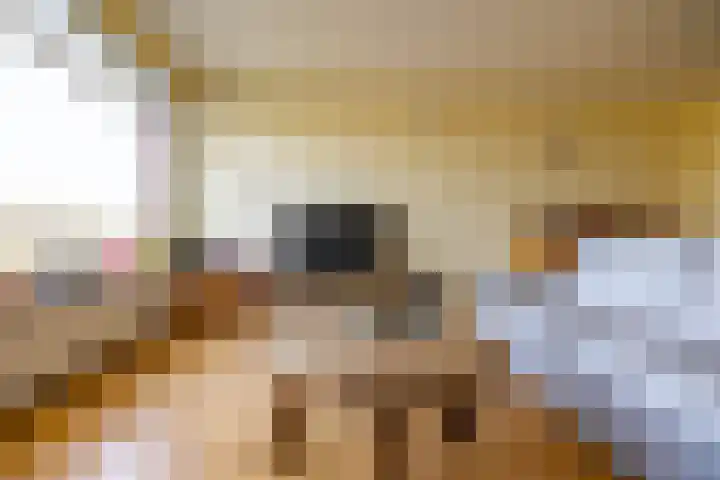 Zigzagoven 21 Delfzijl thumbnail 19
