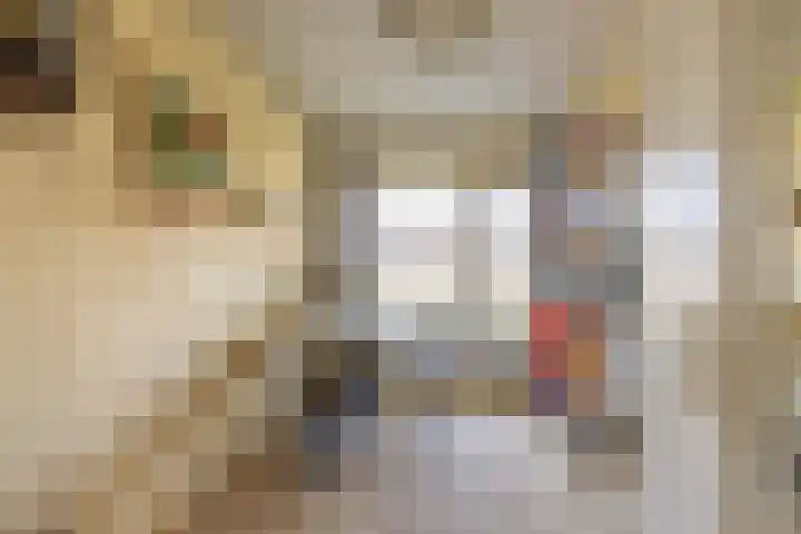 Zigzagoven 21 Delfzijl thumbnail 28